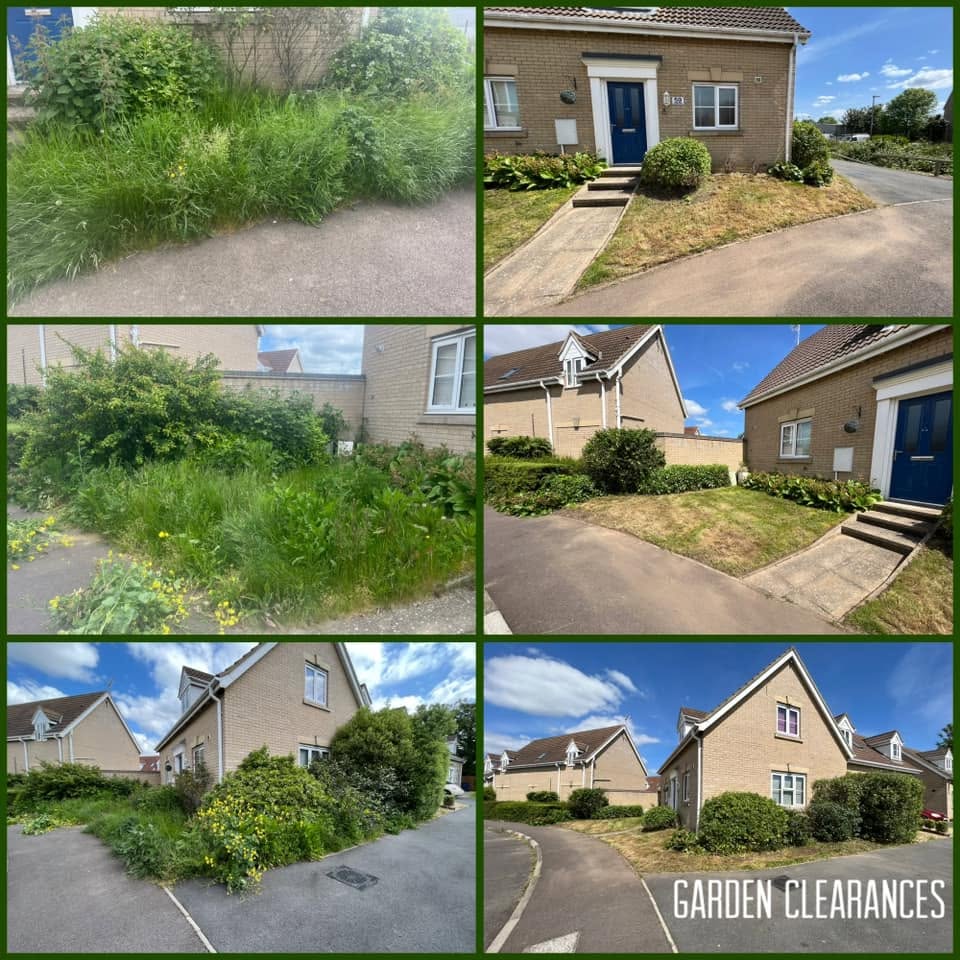 Before and after photos of overgrown front gardens cleared by the team