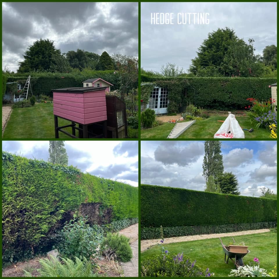Tall garden hedges cut back straight and level