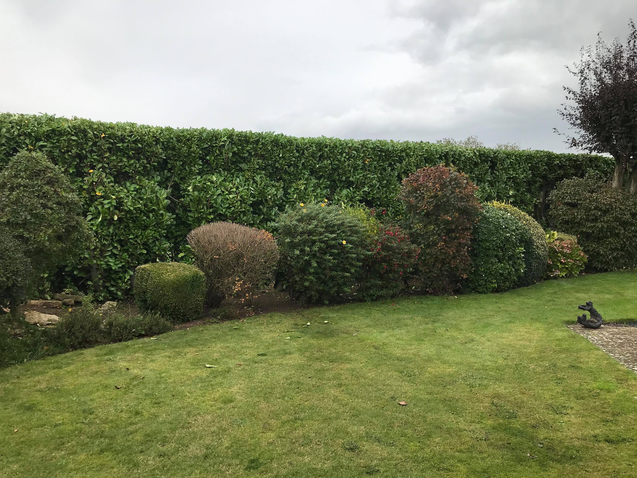 A long hedge and shaped shrub border neatly trimmed above a lawn