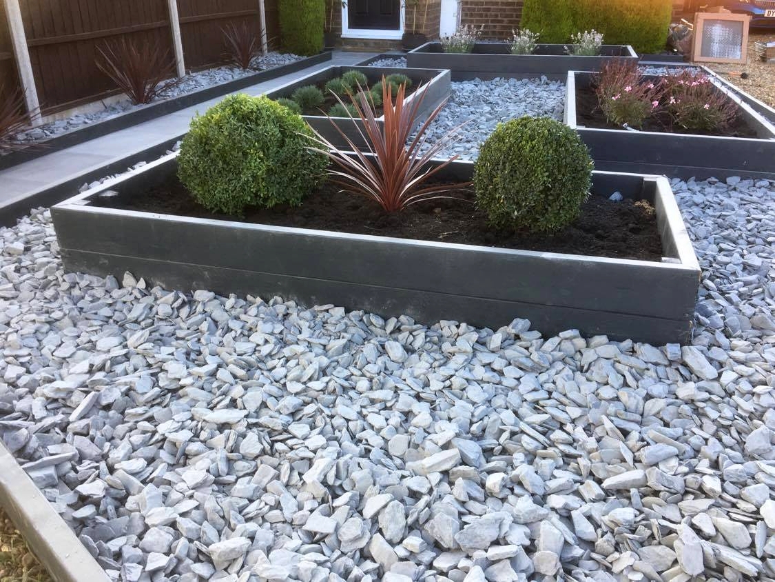 Raised beds set in white slate chippings, planted with box balls and a cordyline